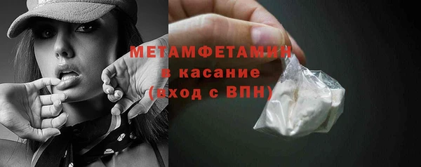 прущие грибы Армянск