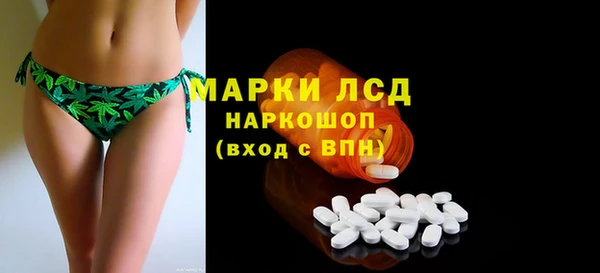 прущие грибы Армянск